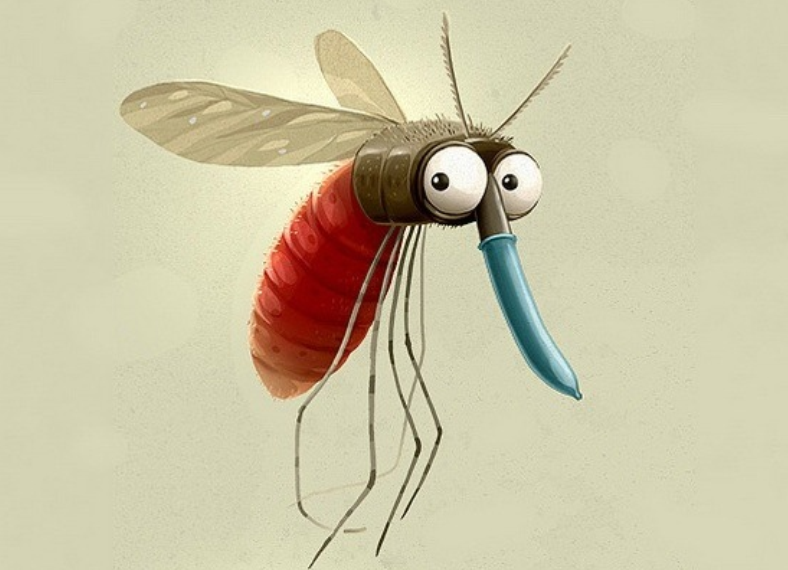 法国夏季驱蚊要避免四大误区