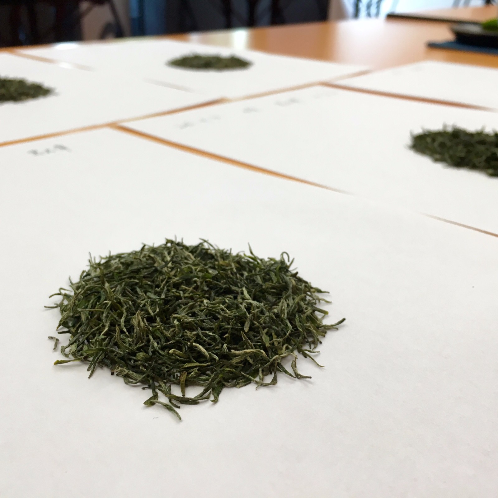 【茶韵飘香】中国茶道暑期班-第二讲《茶之初识——绿茶灵芽》