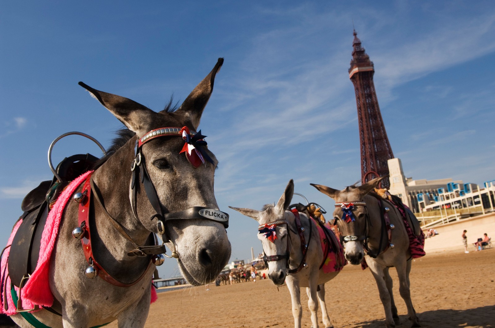 英国沙滩游30年变迁：你不会还在Donkey Rides吧……