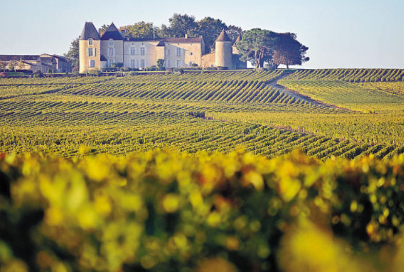 除了波尔多，法国葡萄酒还有这些著名产区
