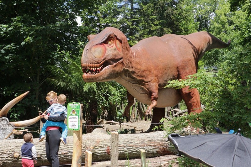 我还是个孩子，我要去图瓦里动物园看恐龙！