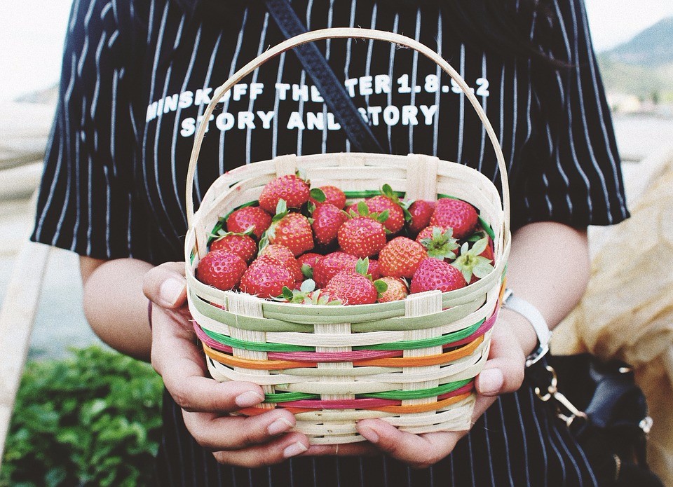 摘草莓+玫瑰花海+音乐节，这个夏天一起放飞自我吧
