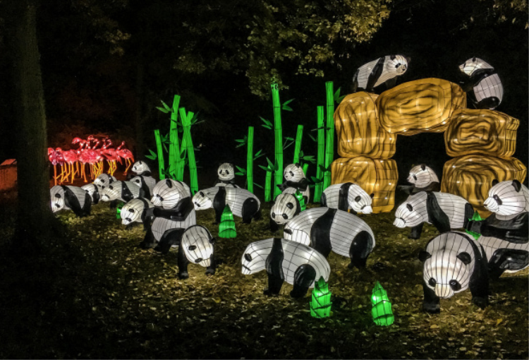 “熊猫宝宝”登上巴黎植物园首届灯光节