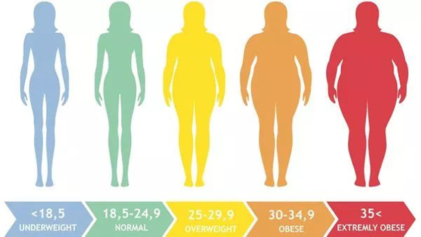 中国肥胖人数跃居世界第一，你属于TOP10胖省吗？英国人：是胖得治