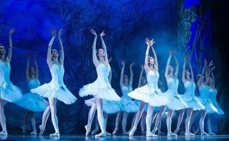 把人看哭的芭蕾舞剧《天鹅湖》巴黎上演啦！