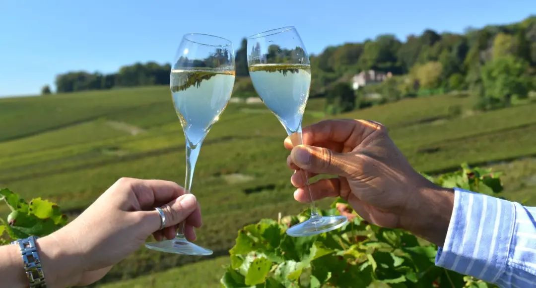 波尔多葡萄酒只知道拉菲？看看2021年最值得入手的十瓶佳酿！