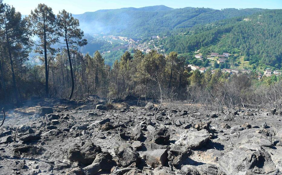 法国西南巨火7天烧不停，万顷森林被毁，火焰冲向海滩！末日景象触目惊心！