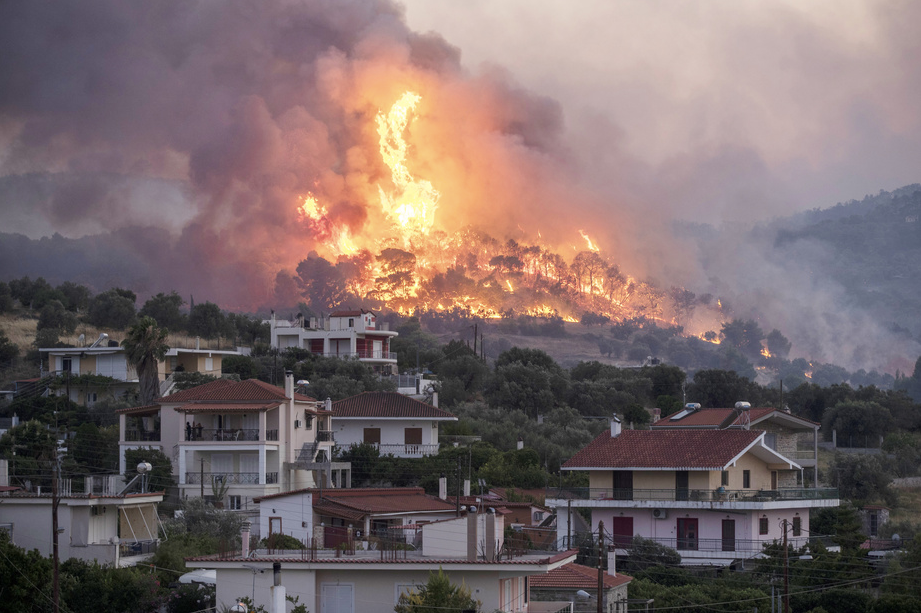 法国西南巨火终于消停，欧洲它处却还在烧！重建森林还可能吗？