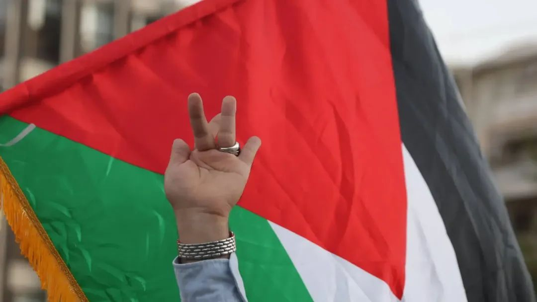言论自由呢？因展示巴勒斯坦国旗，德国两中学生遭校方停课，还被老师打了！