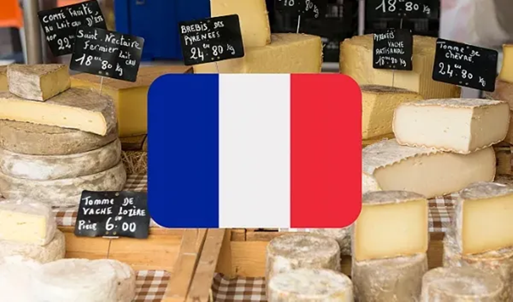 哪个国家最爱奶酪？欧洲占半壁江山，法国竟错失冠军宝座？！